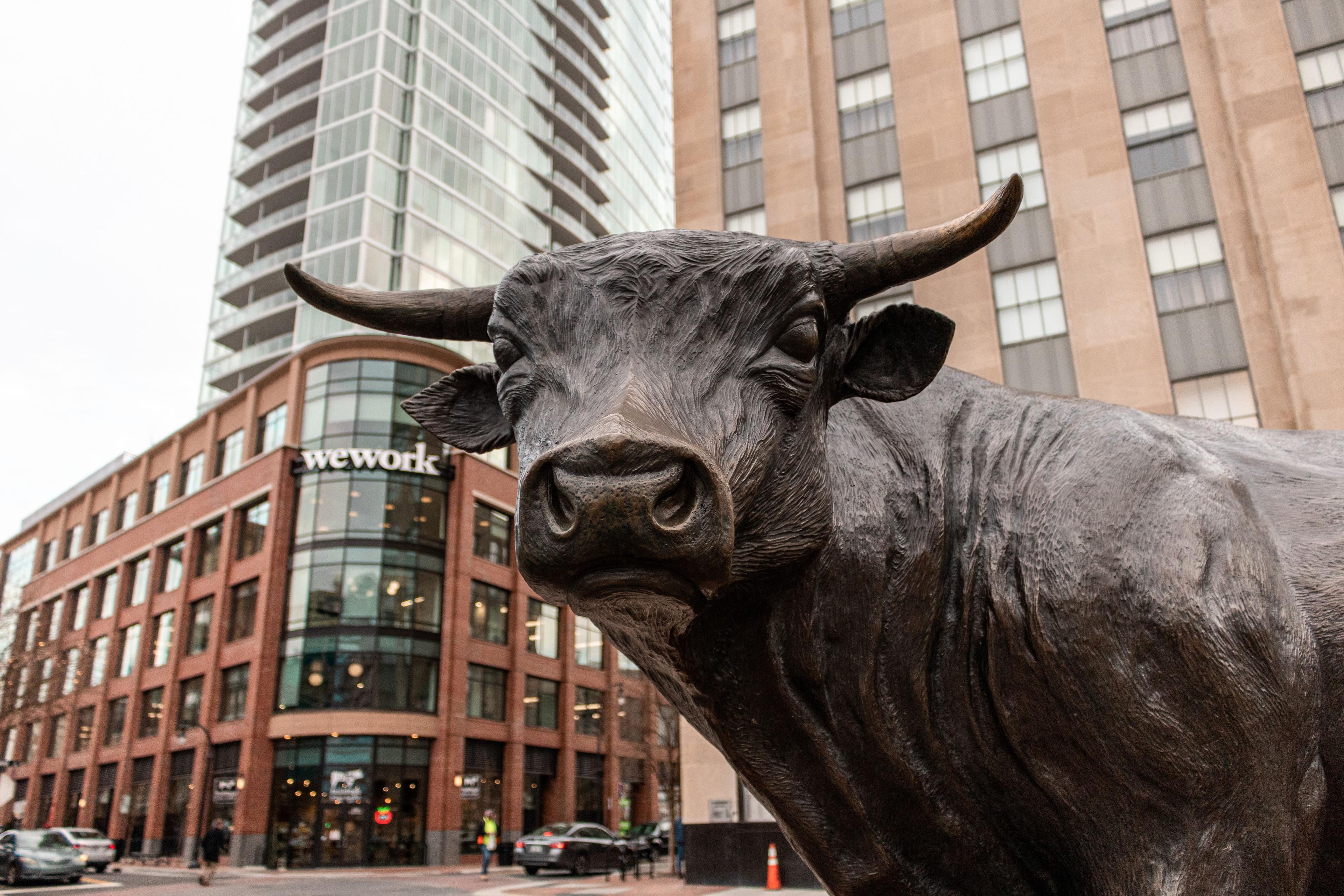 Bull statue in Durham, NC