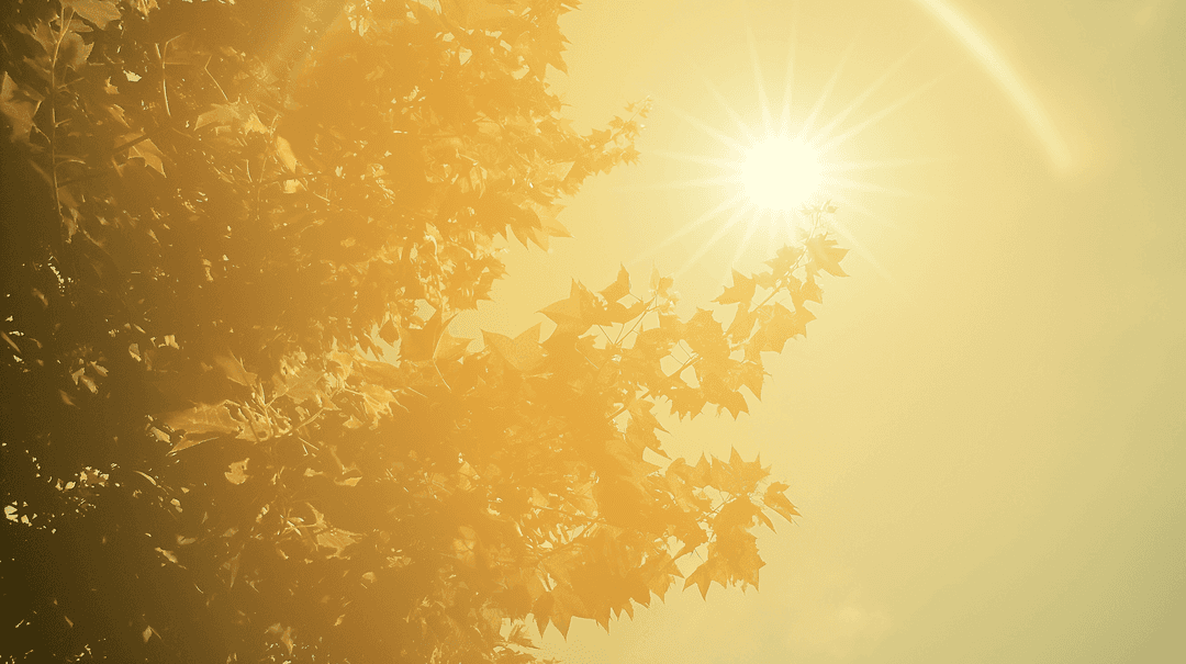 How the Warmest Winter on Record Could Shape Summer HVAC Usage
