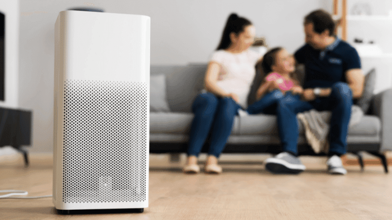 Quietest Air Purifiers for Clean Air at Home: Best Quiet Air Purifiers