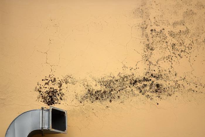 Mold What Is It & How To Find It in Your Ductwork