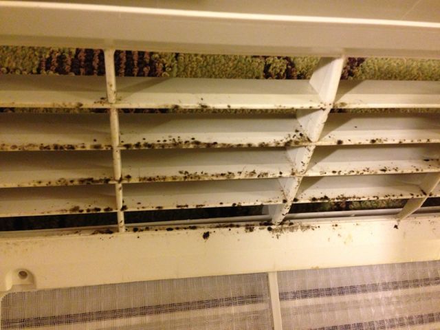 How To Clean Mold from Your Window Air Conditioner Safely HVAC