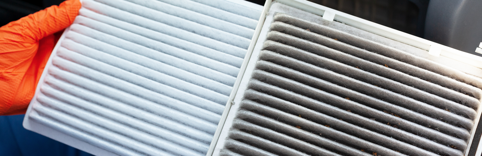 someone inspecting an air filter