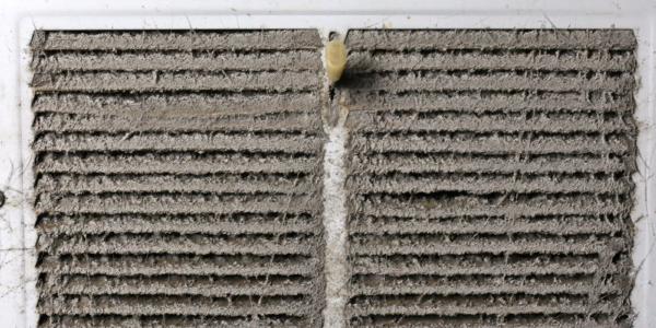 dirty air vent