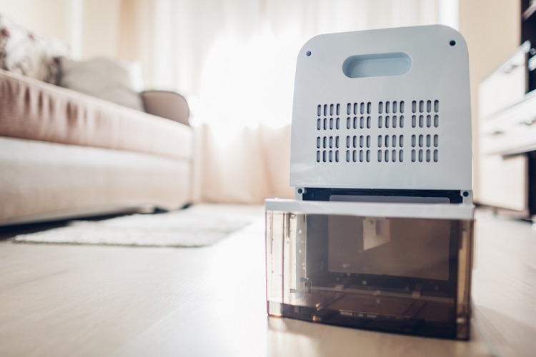 How Long Do Dehumidifiers Last  