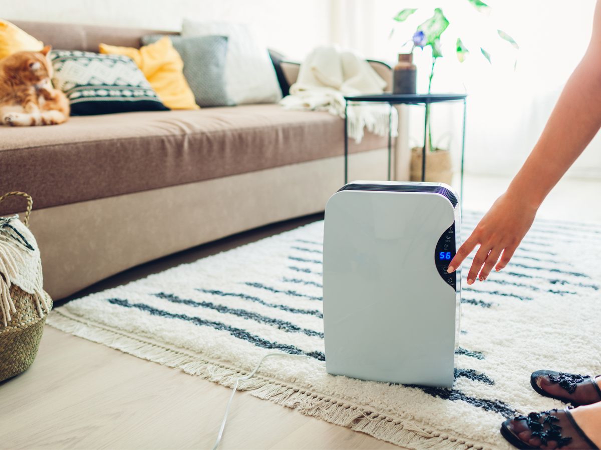 basement dehumidifier