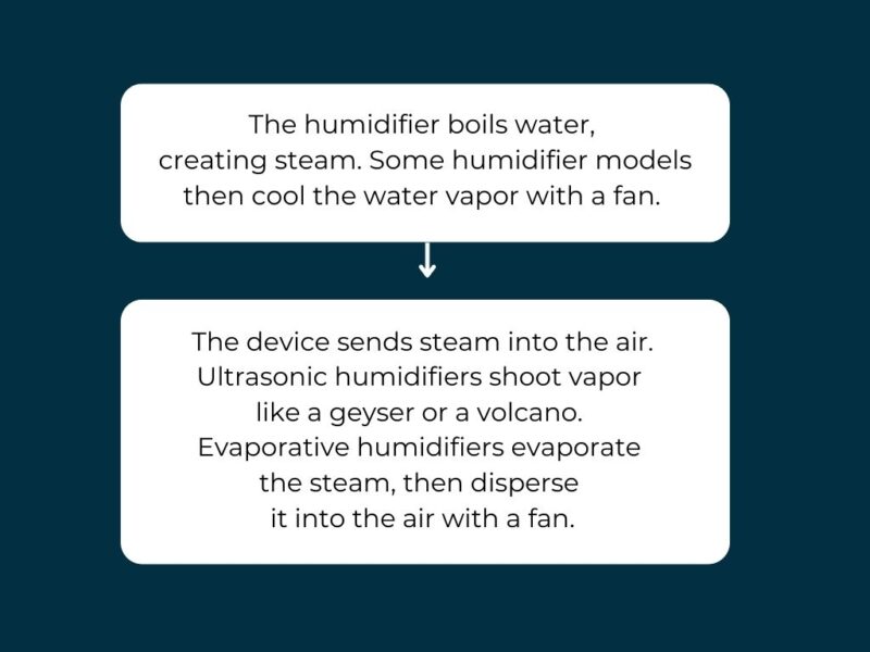 The difference between air purifiers and humidifiers