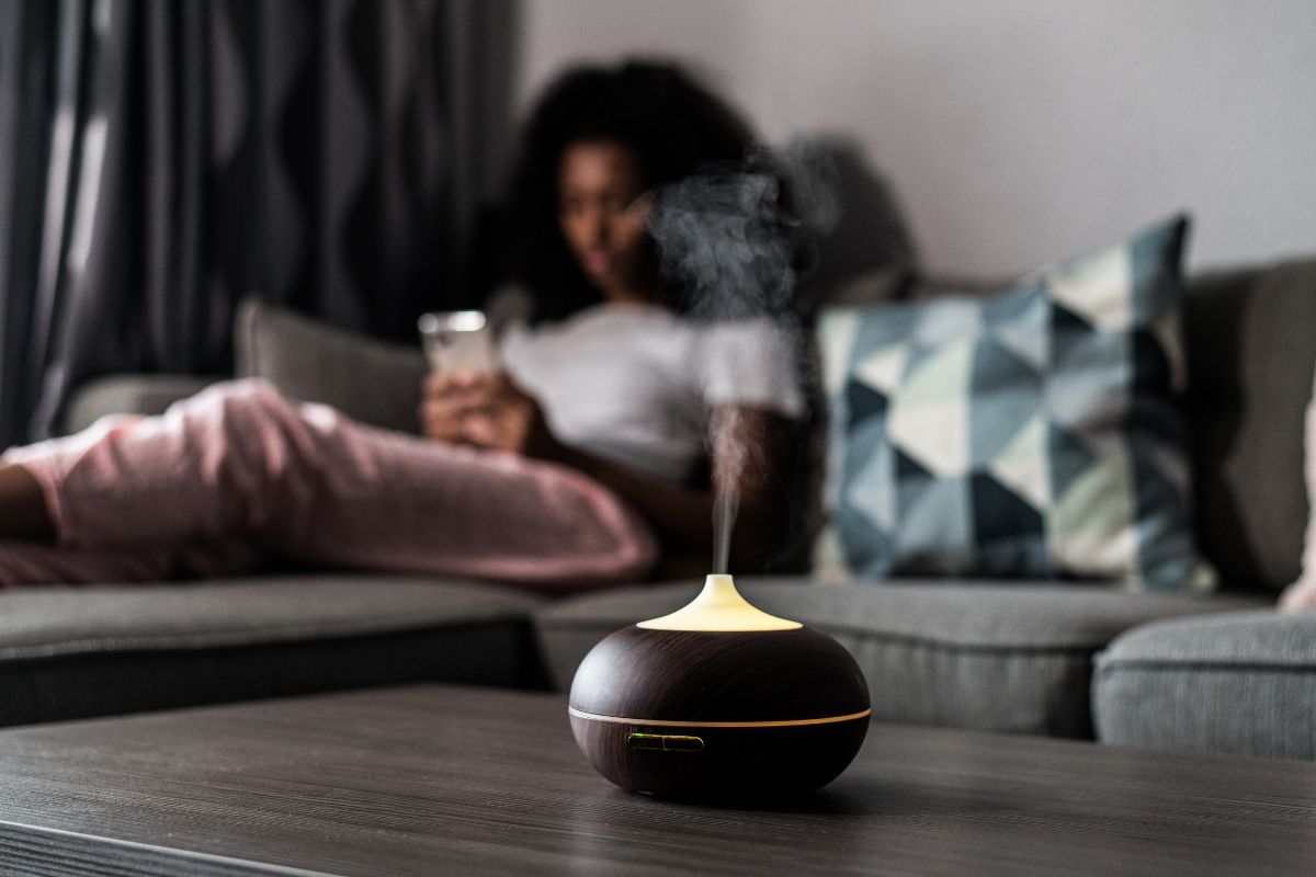 air purifier vs. humidifier
