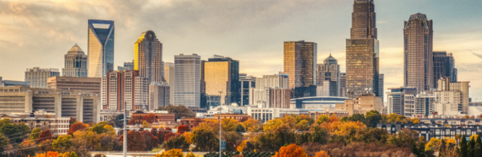 charlotte skyline fall leaves