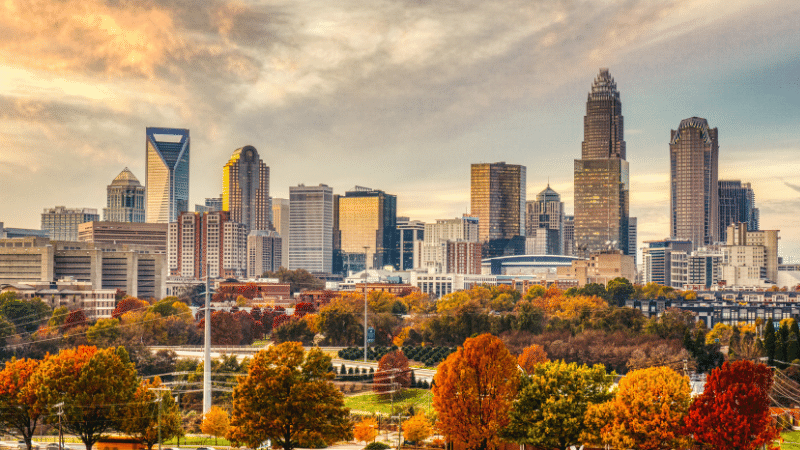 charlotte skyline fall leaves