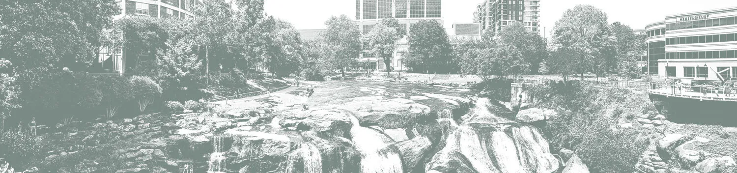 greeneville, sc landscape